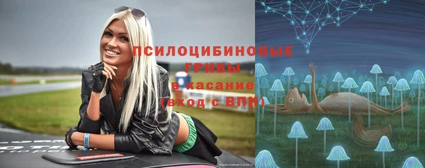 ALPHA PVP Гусев