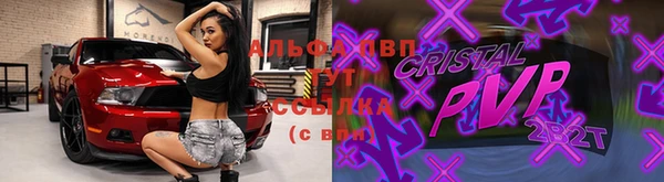 ALPHA PVP Гусев