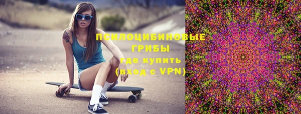 ALPHA PVP Гусев