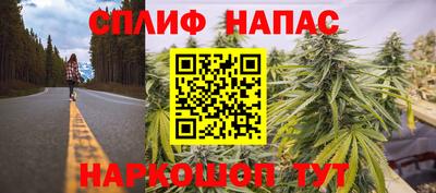 дмт Новокубанск