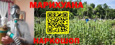 дмт Новокубанск