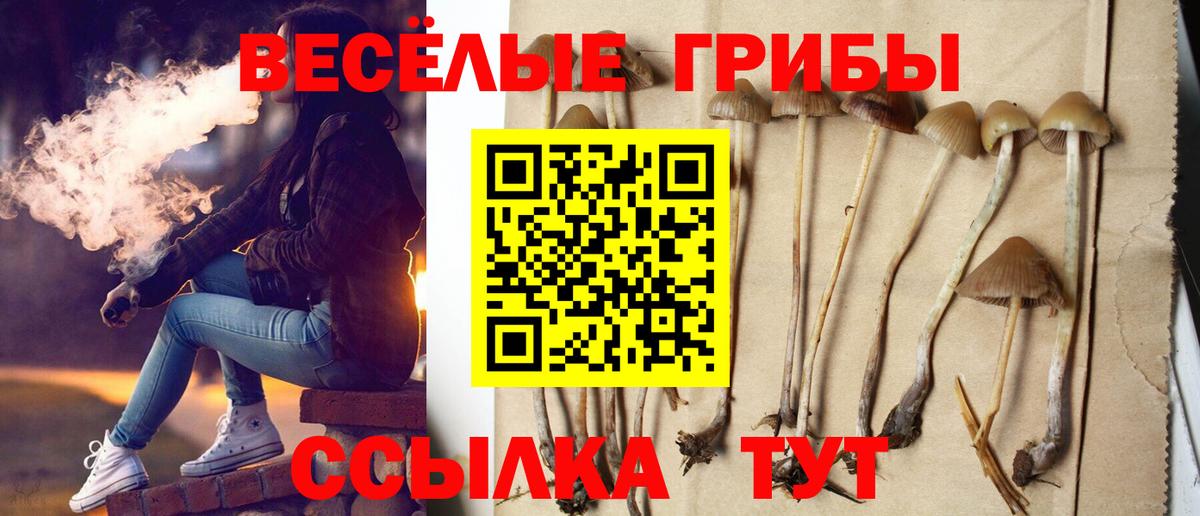 Ангарск  Псилоцибиновые грибы мухоморы  Вход с VPN 