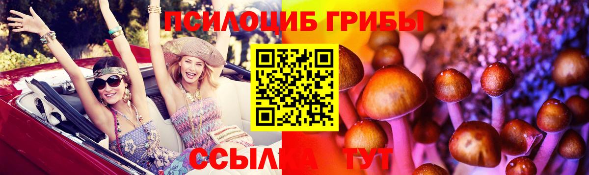 Галлюциногенные грибы прущие грибы Ангарск